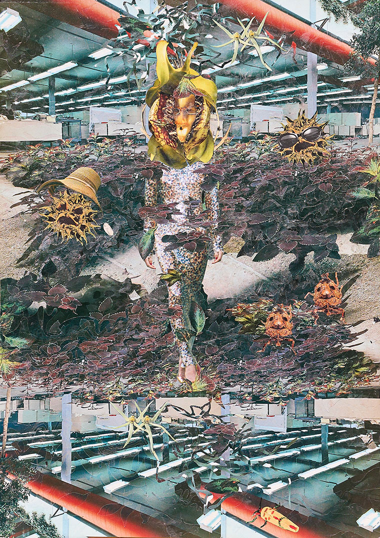 mores-rabenstern_shooting-up_klein